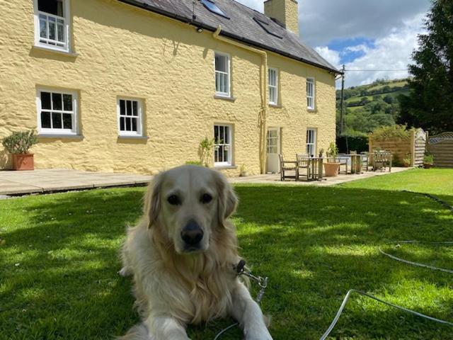 Ty Mawr Country Hotel Carmarthen Exterior foto